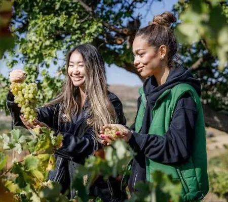 The Boutique Cappadocia Villa